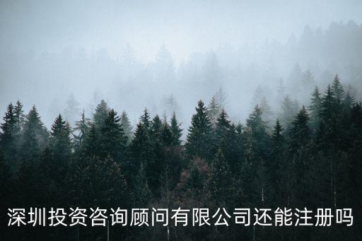 華泰金控投資咨詢深圳有限公司，華泰電子科技集團 深圳
