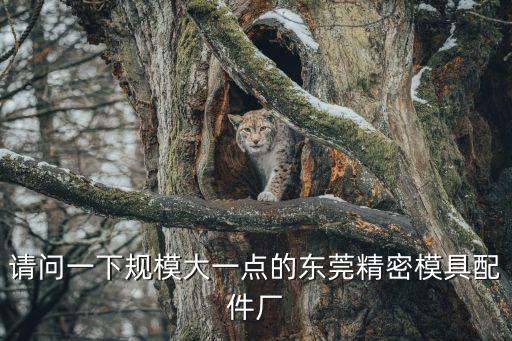 請問一下規(guī)模大一點的東莞精密模具配件廠