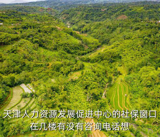 天津人力資源發(fā)展促進(jìn)中心的社保窗口在幾樓有沒有咨詢電話想