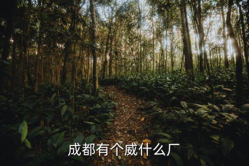 成都有個(gè)威什么廠