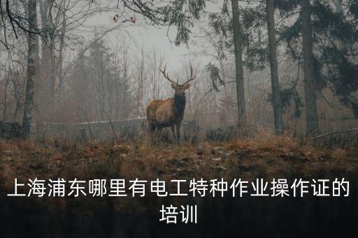 上海浦東哪里有電工特種作業(yè)操作證的培訓(xùn)