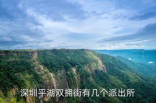 深圳平南派出所，深圳平湖新木派出所在哪