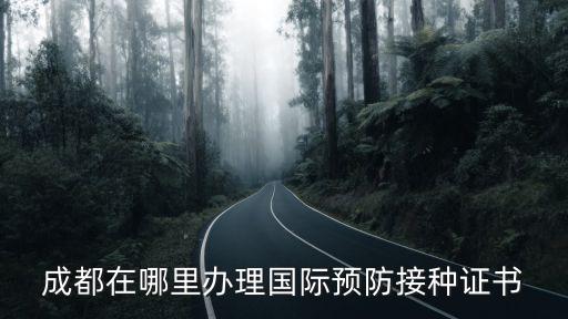 成都在哪里辦理國際預防接種證書