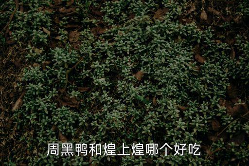 周黑鴨和煌上煌哪個好吃