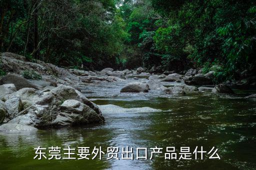 東莞電子 外貿出口，東莞主要外貿出口產品是什么