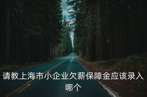 請(qǐng)教上海市小企業(yè)欠薪保障金應(yīng)該錄入哪個(gè)