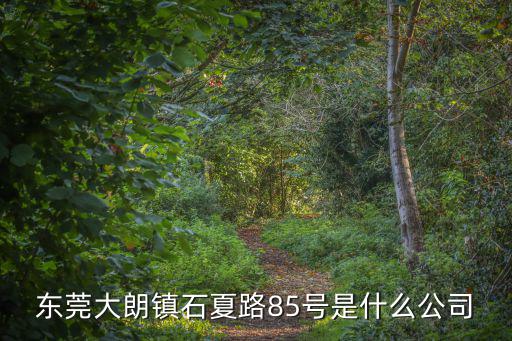 東莞大朗鎮石夏路85號是什么公司