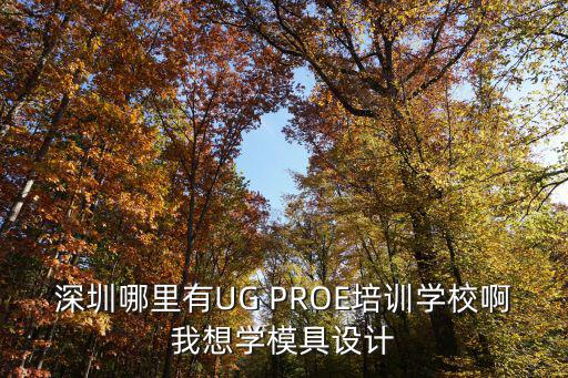 深圳哪里有UG PROE培訓學校啊我想學模具設計