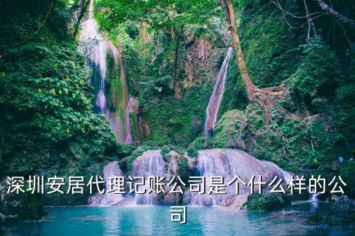 深圳安居代理記賬公司是個什么樣的公司