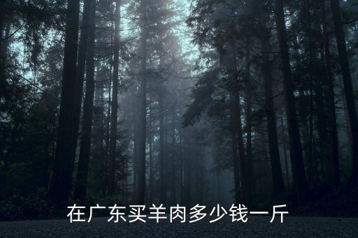 在廣東買羊肉多少錢一斤