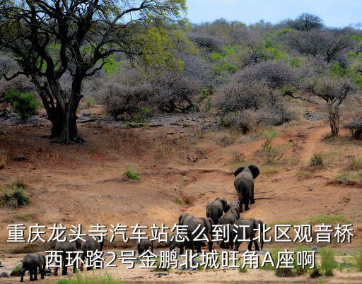 重慶龍頭寺汽車站怎么到江北區(qū)觀音橋西環(huán)路2號(hào)金鵬北城旺角A座啊