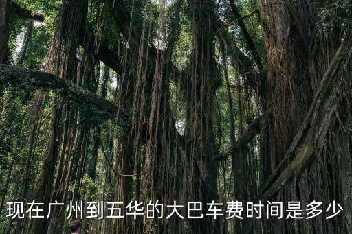 現(xiàn)在廣州到五華的大巴車費時間是多少