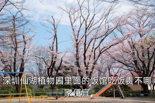 深圳偷雞餐廳，深圳那家公司食堂承包服務質量比較好的