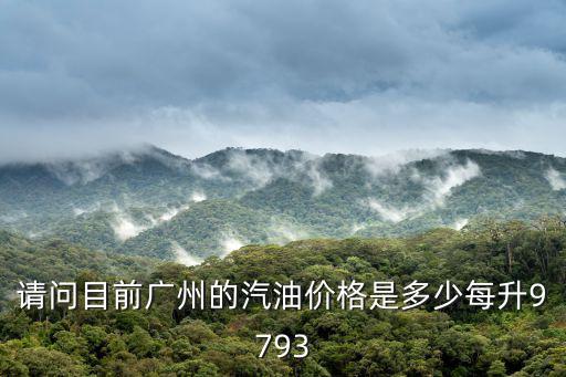 請問目前廣州的汽油價格是多少每升9793