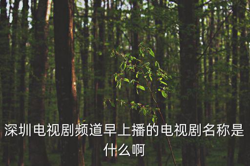 深圳電視劇頻道早上播的電視劇名稱是什么啊