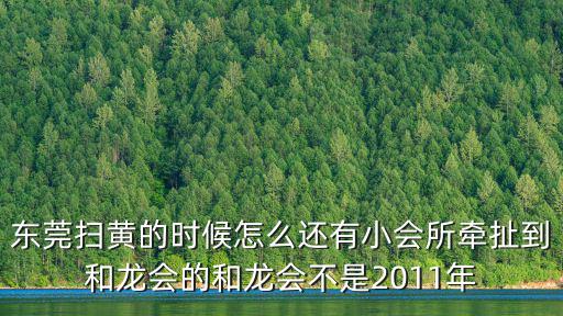 東莞掃黃的時候怎么還有小會所牽扯到和龍會的和龍會不是2011年