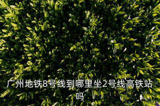 廣州地鐵8號(hào)線到哪里坐2號(hào)線高鐵站嗎