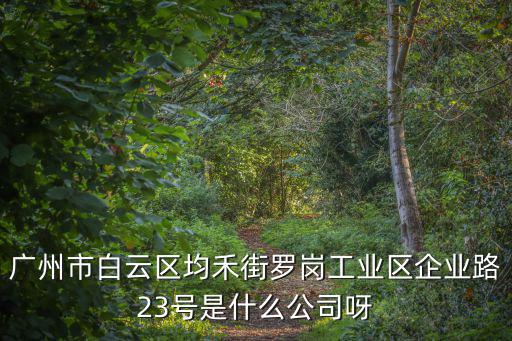 廣州市白云區均禾街羅崗工業區企業路23號是什么公司呀