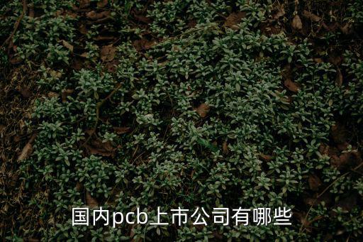 國內pcb上市公司有哪些