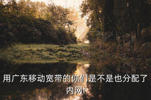 用廣東移動(dòng)寬帶的你們是不是也分配了內(nèi)網(wǎng)i