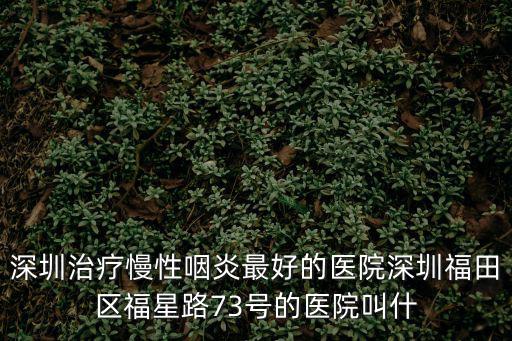 深圳興創(chuàng)嘉，深圳一個叫孫大兵 孫生這個人 他是賣手機的 他是個大騙子 專用山寨機