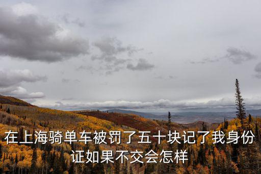 上海市自行車罰款，上海自行車罰款怎么繳費