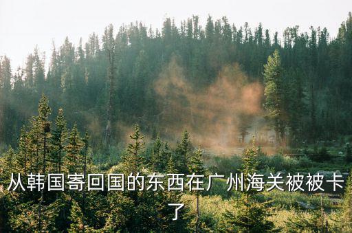 從韓國寄回國的東西在廣州海關被被卡了