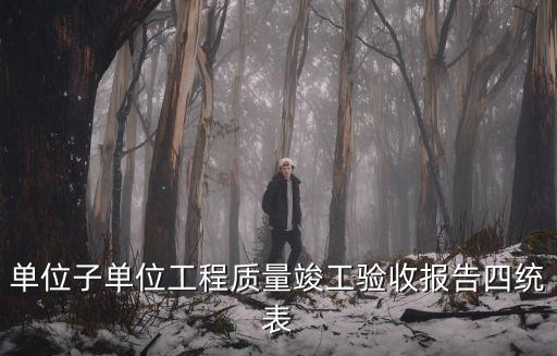 上海市竣工驗收核查表，單位子單位工程質量竣工驗收報告四統表