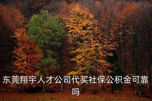 東莞翔宇人才公司代買社保公積金可靠嗎