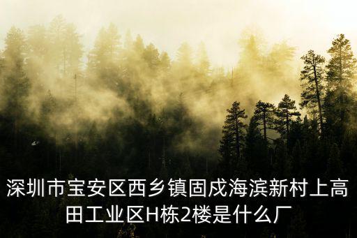 深圳市寶安區(qū)西鄉(xiāng)鎮(zhèn)固戍海濱新村上高田工業(yè)區(qū)H棟2樓是什么廠