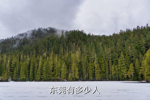 東莞每日確診人數，東莞市每秒出生人數是多少