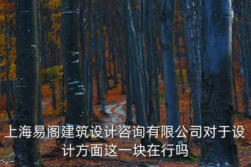 上海易閣建筑設計咨詢有限公司對于設計方面這一塊在行嗎