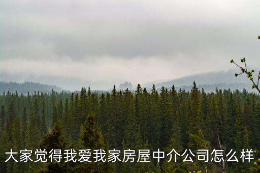 大家覺得我愛我家房屋中介公司怎么樣