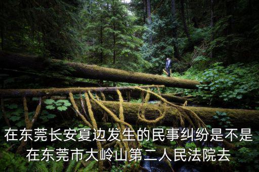 在東莞長安夏邊發生的民事糾紛是不是在東莞市大嶺山第二人民法院去