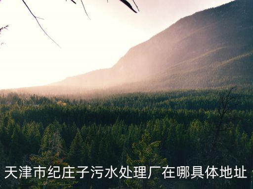 天津市哪里能倒污水，天津市紀莊子污水處理廠在哪具體地址