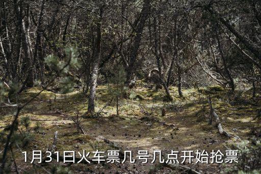 2015年1月31日深圳站幾點放票，2015年1月31日火車票什么時候可以預(yù)定