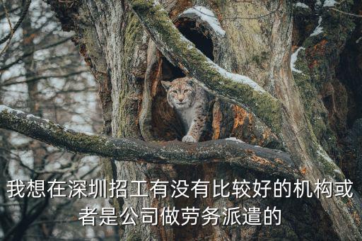我想在深圳招工有沒有比較好的機構(gòu)或者是公司做勞務派遣的