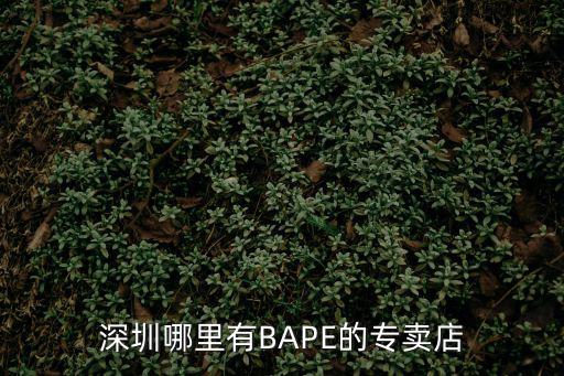 深圳歐帝富，深圳市寶安區(qū)恒豐工業(yè)城C5棟3樓是什么公司