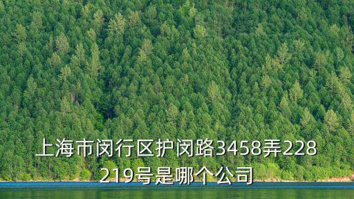 上海市閔行區護閔路3458弄228219號是哪個公司