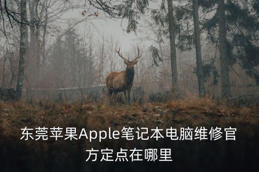 東莞蘋果Apple筆記本電腦維修官方定點在哪里