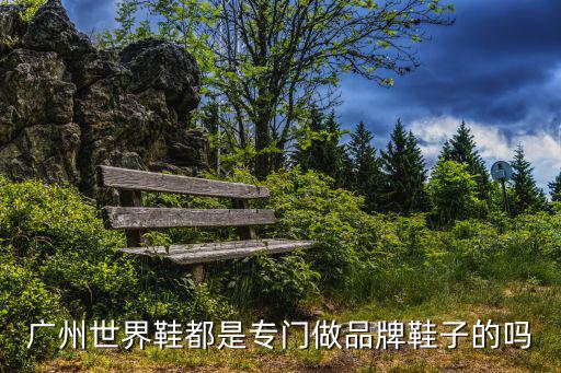 廣州世界鞋都是專(zhuān)門(mén)做品牌鞋子的嗎