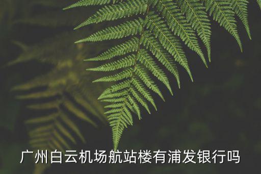 廣州白云機場航站樓有浦發(fā)銀行嗎