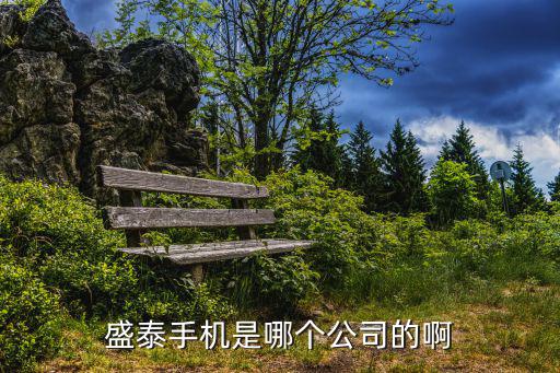 深圳市系致通訊技術(shù)有限公司，盛泰手機(jī)是哪個公司的啊