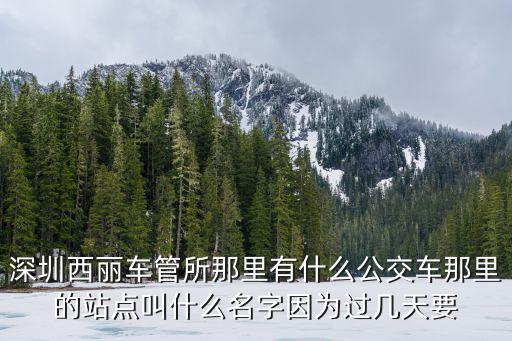 深圳西麗車管所那里有什么公交車那里的站點叫什么名字因為過幾天要