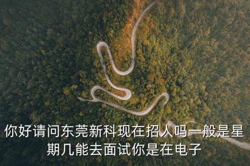 你好請問東莞新科現在招人嗎一般是星期幾能去面試你是在電子