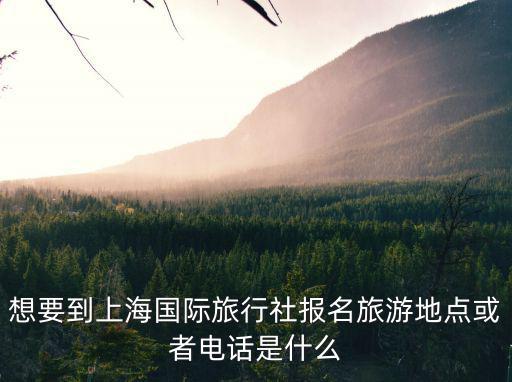 想要到上海國(guó)際旅行社報(bào)名旅游地點(diǎn)或者電話是什么