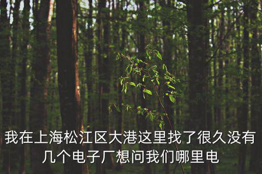 我在上海松江區(qū)大港這里找了很久沒有幾個電子廠想問我們哪里電