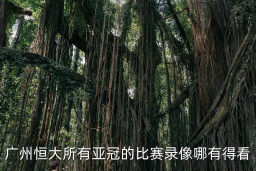 廣州恒大所有亞冠的比賽錄像哪有得看