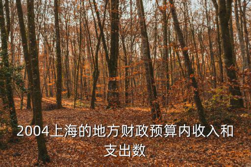 2004上海的地方財政預算內(nèi)收入和支出數(shù)