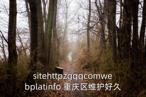 sitehttpzgqqcomwebplatinfo 重慶區(qū)維護好久
